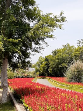 神戸どうぶつ王国に投稿された画像（2020/6/5）