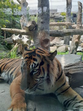 神戸どうぶつ王国に投稿された画像（2020/6/5）