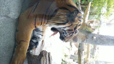 神戸どうぶつ王国に投稿された画像（2020/6/6）