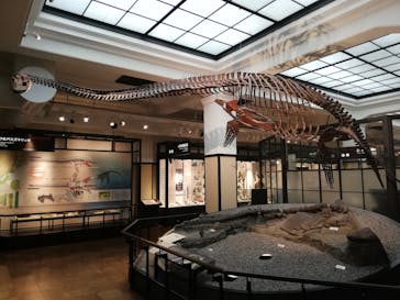 国立科学博物館に投稿された画像（2020/6/6）