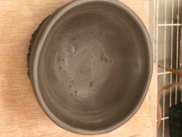 千秋（せんしゅう）工房に投稿された画像（2020/6/6）