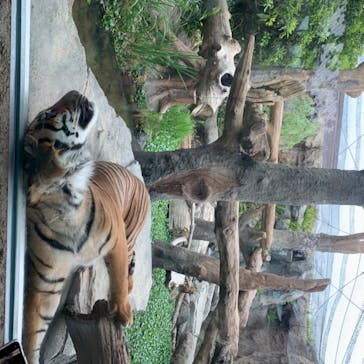 神戸どうぶつ王国に投稿された画像（2020/6/6）