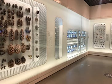 国立科学博物館に投稿された画像（2020/6/6）