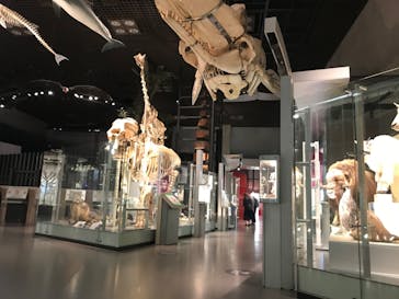 国立科学博物館に投稿された画像（2020/6/6）