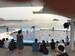 四国水族館に投稿された画像（2020/6/6）