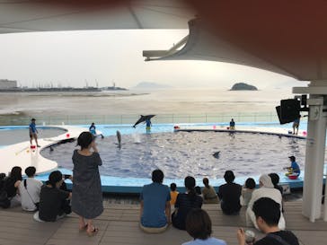 四国水族館に投稿された画像（2020/6/6）
