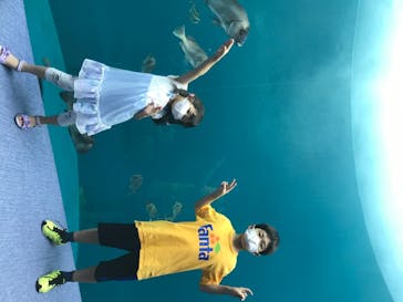 四国水族館に投稿された画像（2020/6/6）