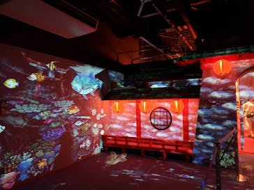 四国水族館に投稿された画像（2020/6/6）