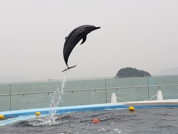 四国水族館に投稿された画像（2020/6/6）