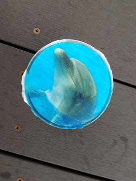 四国水族館に投稿された画像（2020/6/6）