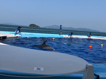 四国水族館に投稿された画像（2020/6/7）