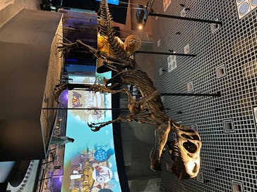 国立科学博物館に投稿された画像（2020/6/7）