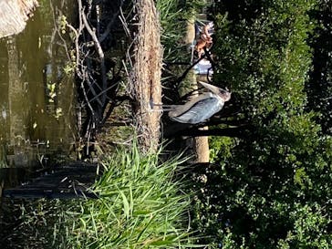 神戸どうぶつ王国に投稿された画像（2020/6/7）