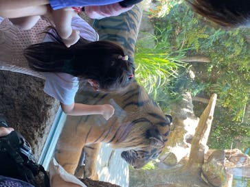 神戸どうぶつ王国に投稿された画像（2020/6/7）