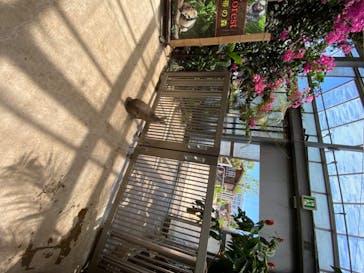 神戸どうぶつ王国に投稿された画像（2020/6/7）