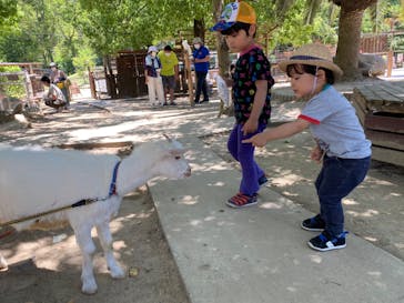 しろとり動物園に投稿された画像（2020/6/7）