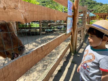 しろとり動物園に投稿された画像（2020/6/7）