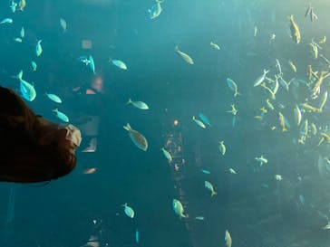 四国水族館に投稿された画像（2020/6/7）