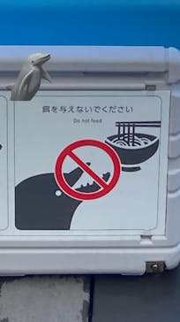 四国水族館に投稿された画像（2020/6/7）