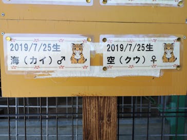 しろとり動物園に投稿された画像（2020/6/7）