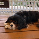 那須どうぶつ王国に投稿された画像（2020/6/7）