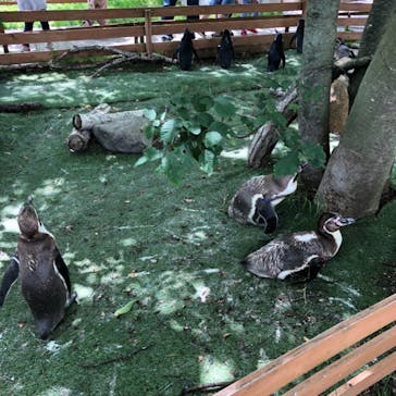 那須どうぶつ王国に投稿された画像（2020/6/7）