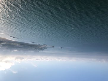 松島熱気球・パラグライダー体験に投稿された画像（2020/6/7）