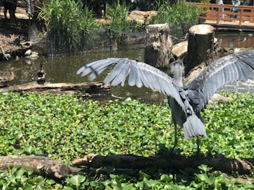 神戸どうぶつ王国に投稿された画像（2020/6/7）