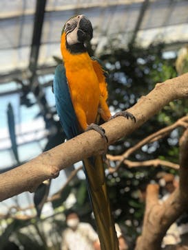 神戸どうぶつ王国に投稿された画像（2020/6/7）