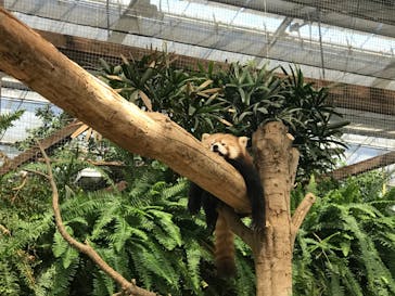 神戸どうぶつ王国に投稿された画像（2020/6/7）