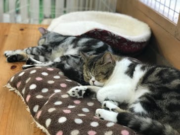 神戸どうぶつ王国に投稿された画像（2020/6/7）