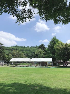 伊香保グリーン牧場に投稿された画像（2020/6/7）