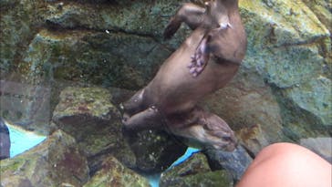 四国水族館に投稿された画像（2020/6/7）