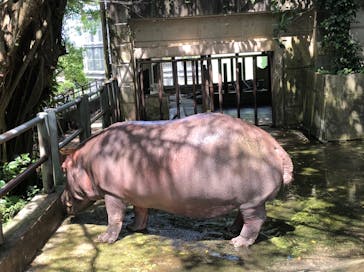 沖縄こどもの国に投稿された画像（2020/6/7）