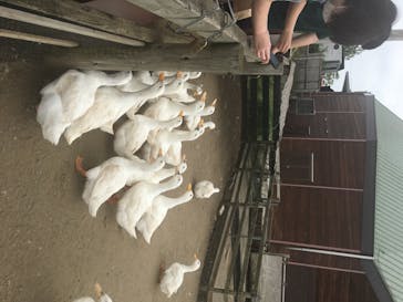 マザー牧場に投稿された画像（2020/6/7）