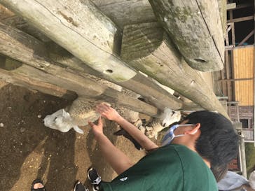 マザー牧場に投稿された画像（2020/6/7）