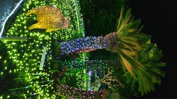 伊豆ぐらんぱる公園に投稿された画像（2020/6/7）