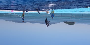 四国水族館に投稿された画像（2020/6/7）