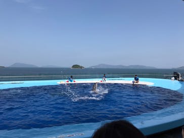 四国水族館に投稿された画像（2020/6/7）