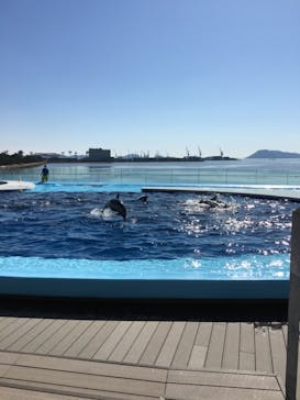 四国水族館に投稿された画像（2020/6/8）