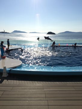 四国水族館に投稿された画像（2020/6/8）