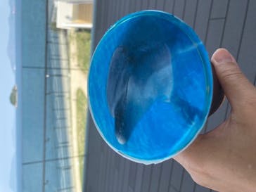 四国水族館に投稿された画像（2020/6/8）