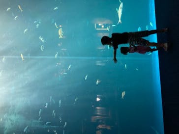 四国水族館に投稿された画像（2020/6/8）