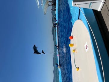 四国水族館に投稿された画像（2020/6/8）