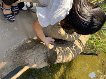 神戸どうぶつ王国に投稿された画像（2020/6/7）