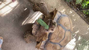 神戸どうぶつ王国に投稿された画像（2020/6/7）