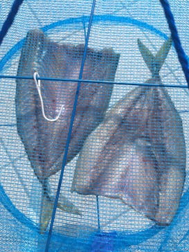 SUNNY FISHING（サニーフィッシング）に投稿された画像（2020/6/7）