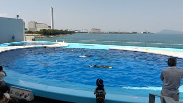 四国水族館に投稿された画像（2020/6/9）