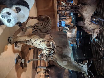 国立科学博物館に投稿された画像（2020/6/9）