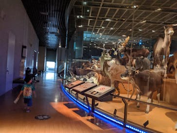 国立科学博物館に投稿された画像（2020/6/9）